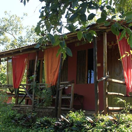 Galaxy Jungle Huts Hotel Agonda Exterior photo