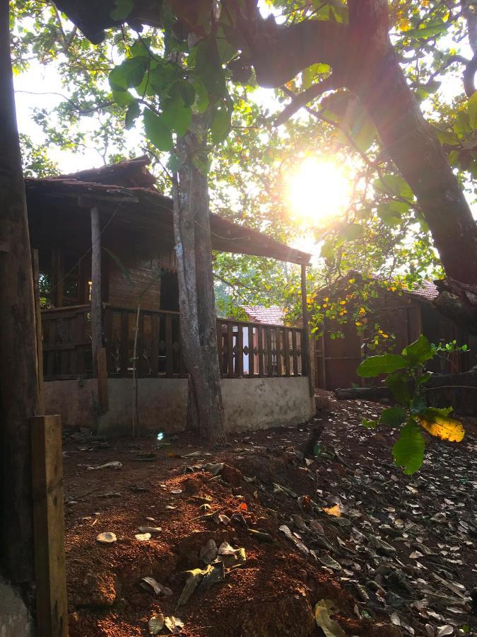 Galaxy Jungle Huts Hotel Agonda Exterior photo