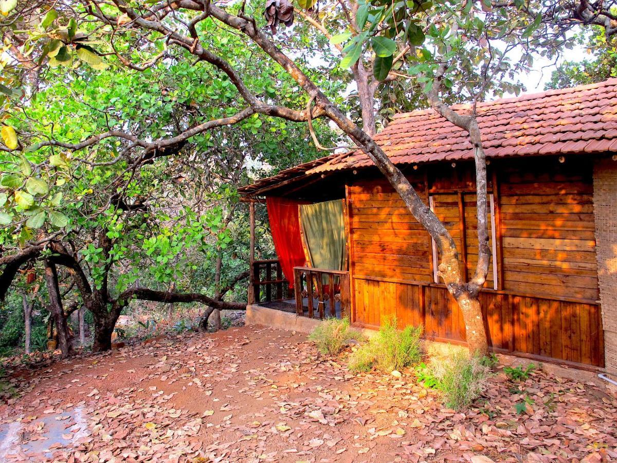 Galaxy Jungle Huts Hotel Agonda Exterior photo